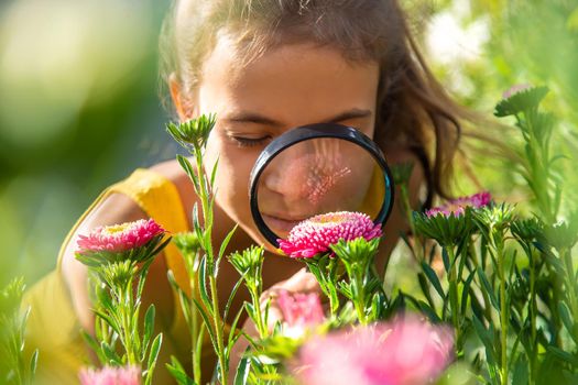 The child examines the plants with a magnifying glass. Selective focus. Kid.