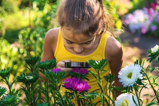 The child examines the plants with a magnifying glass. Selective focus. Kid.