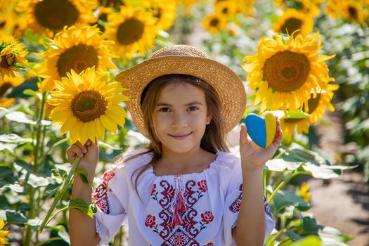 A child in a field of sunflowers in an embroidered shirt. Ukraine Independence Day concept. Selective focus. Nature.