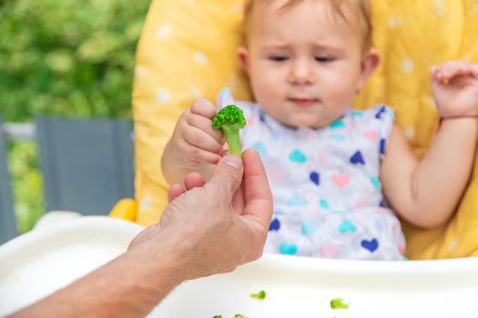 Baby eats pieces of broccoli vegetables. Selective focus. Child.