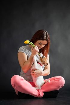 Happy smiling red-haired woman holding a small funny puppy with a yellow tulip in it mouth. The joyful owner plays with the dog Jack Russell Terrier on a black background.