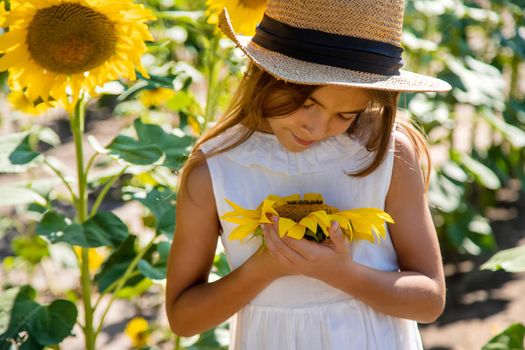 Child girl in a field of sunflowers. Selective focus. Kid.