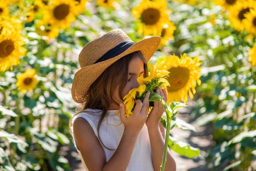 Child girl in a field of sunflowers. Selective focus. Kid.