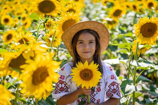 A child in a field of sunflowers in an embroidered shirt. Ukraine Independence Day concept. Selective focus. Nature.