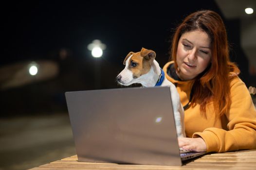 Smiling woman working on laptop at a wooden table in the street. The girl looks at the monitor with her pet jack russell terrier. Freelancer walks the dog in the evening