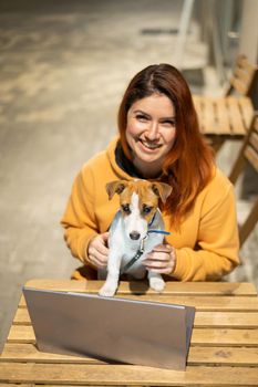 Smiling woman working on laptop at a wooden table in the street. The girl looks at the monitor with her pet jack russell terrier. Freelancer walks the dog in the evening