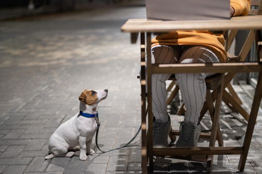 Smiling woman working on laptop at a wooden table in the street. The girl looks at the monitor and Jack Russell Terrier sits on a leash. Freelancer walks the dog in the evening. A loyal puppy