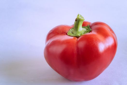 Large red bell pepper oblong shape. Presented in close - up on a blue background.