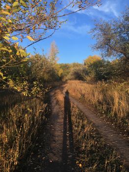 the shadow of a man on a forest autumn road in the dry grass