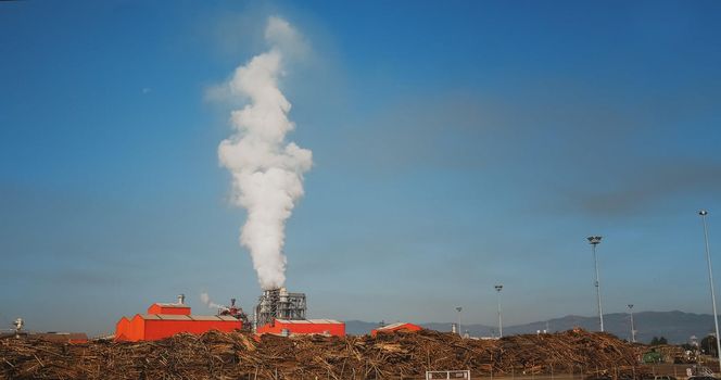 Wood Factory. SMOKE Pollute Industry Atmosphere With Smoke Ecology pollution, Industrial Factory Pollutes. Global Warming.