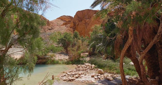 Chebika mountain oasis in Tunisia. Tozeur Governorate.