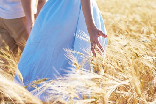 A couple in love walks through a wheat field. Close-up of the girl's hand touching wheat.