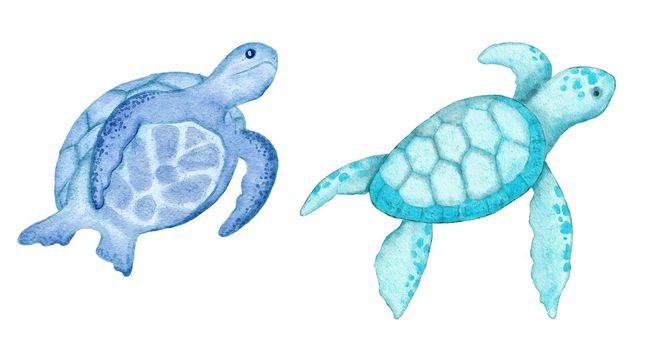 Watercolor illustration of turtle tortoise in blue turquoise purple colors, ocean sea underwater wildlife animals. Nautical summer beach design, coral reef life nature