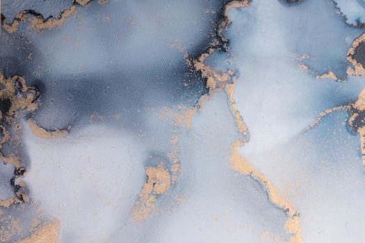 Marble ink abstract art from exquisite original painting for abstract background . Painting was painted on high quality paper texture to create smooth marble background pattern of ombre alcohol ink .