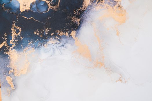 Marble ink abstract art from exquisite original painting for abstract background . Painting was painted on high quality paper texture to create smooth marble background pattern of ombre alcohol ink .
