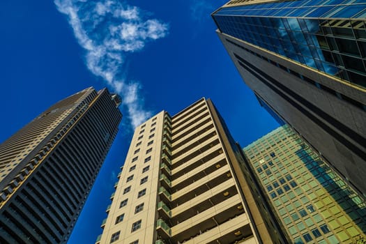Minato Ward / Shiodome Building. Shooting Location: Tokyo metropolitan area