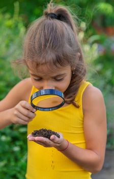 The child examines the ground with a magnifying glass. Selective focus. Nature.
