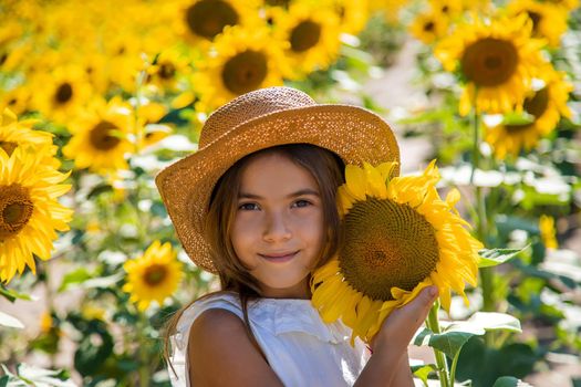 Child girl in a field of sunflowers. Selective focus. Kid.