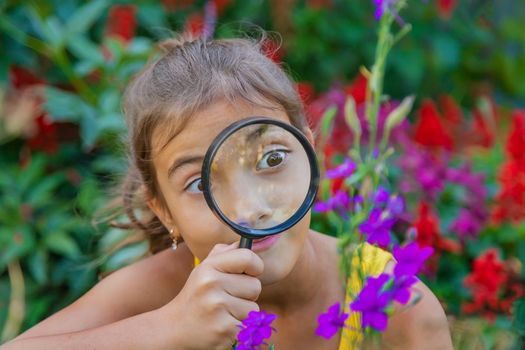 The child examines the plants with a magnifying glass. Selective focus. Kid.