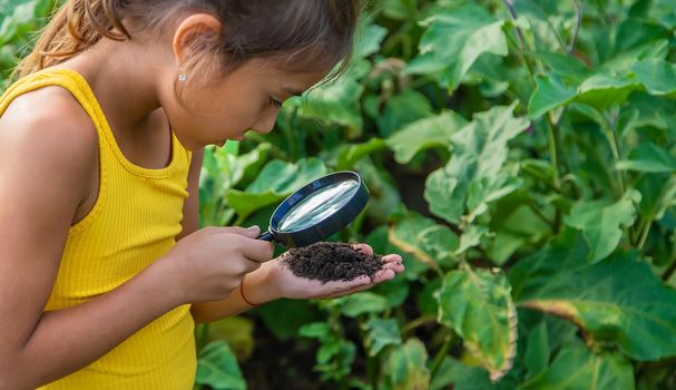 The child examines the ground with a magnifying glass. Selective focus. Nature.