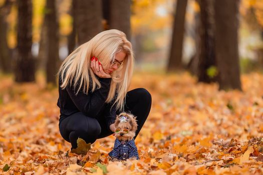 girl with her yorkshire terrier dog in the park