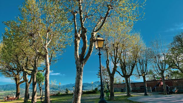 Genova, Italy - January 28, 2022: Park of Nervi by winter days. Green park for relax. Natural park near the sea, with some tall trees. Clear blue sky in the background.