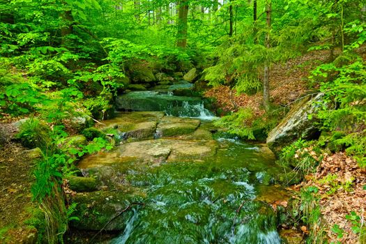 A small stream flows through rocks in the forest in the mountains