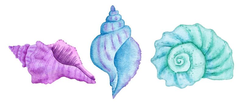Watercolor illustration of shells, clam shell in blue turquoise purple colors, ocean sea underwater wildlife animals. Nautical summer beach design, coral reef life nature