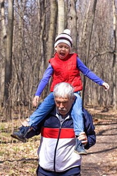 Caucasian happy child on grandfather shoulders walking in early spring forest