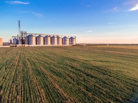 Grain elevator. Metal grain elevator in agricultural zone. Agriculture storage for harvest. Grain silos on green nature background. Exterior of agricultural factory