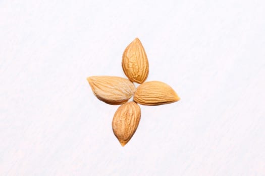 A softer, usually edible part of a nut, seed, or fruit stone contained within its hard shell