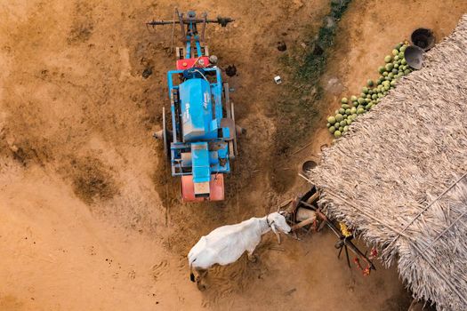 Aerial view of a small farm with a cattle, watermelons and a machine in Myanmar