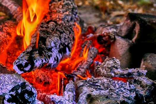 cook food, especially meat by prolonged exposure to heat in an oven or over a fire.Campfire with fading flame and smoldering coals. Time for cooking meat.