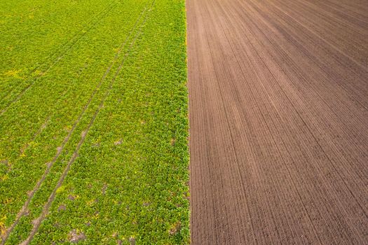 Bird's eye view of tractor tracks in a green field and in a brown field in the south of Germany