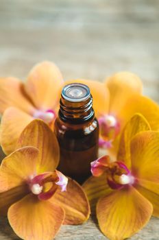 Orchid essential oil in a small bottle. Selective focus. Nature.