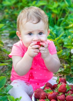 Baby eats strawberries in the garden. Selective focus. Summer.