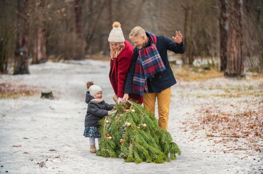 a family dragging a tree behind them in a winter park