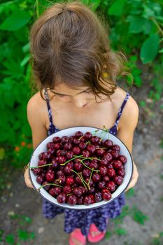 The child eats cherries in the garden. Selective focus. Food.