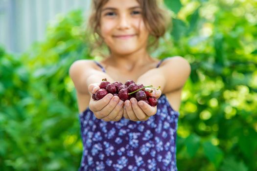 The child eats cherries in the garden. Selective focus. Food.