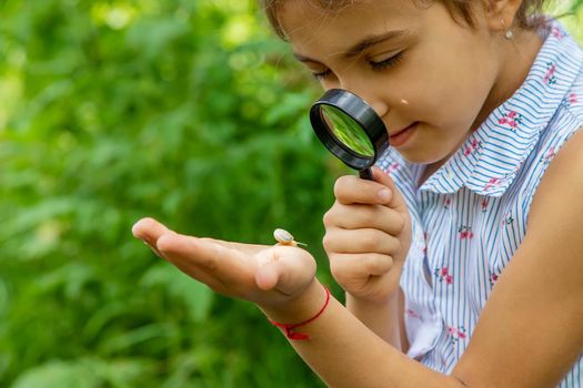 The child looks at the snail through a magnifying glass. Selective focus. Nature.