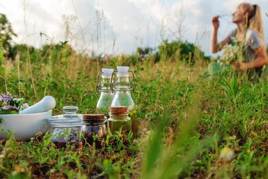 The woman collects medicinal herbs. Selective focus. Nature.