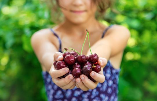 The child eats cherries in the garden. Selective focus. Food.