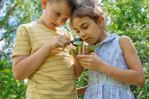 The child looks at the snail through a magnifying glass. Selective focus. Nature.