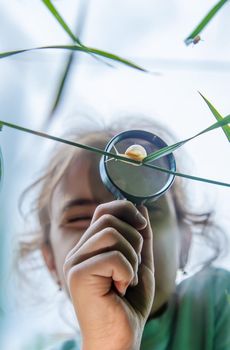 The child looks at the snail through a magnifying glass. Selective focus. Nature.