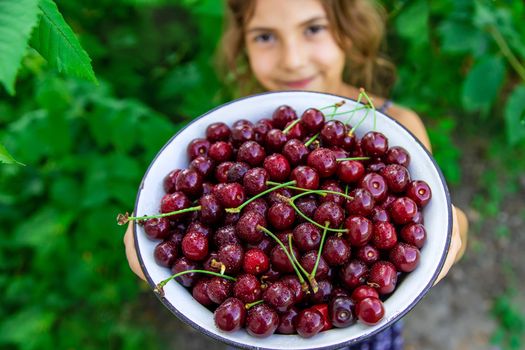 The child eats cherries in the garden. Selective focus. Food.