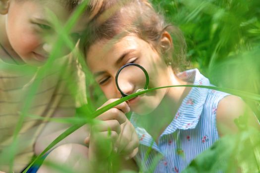 The child looks at the snail through a magnifying glass. Selective focus. Nature.