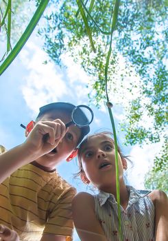 The child looks at the snail through a magnifying glass. Selective focus. Nature.