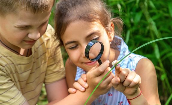 The child looks at the snail through a magnifying glass. Selective focus. Nature.