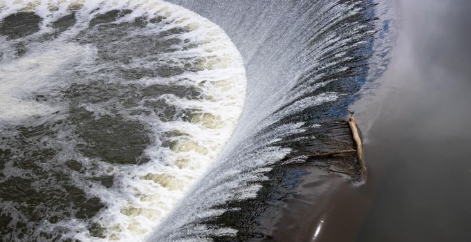 The bird is sitting on a log above a small waterfall on an artificial river dam.