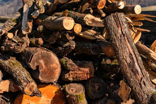 Tree trunks and branches that have been felled and sawn off lie on a stack of wood